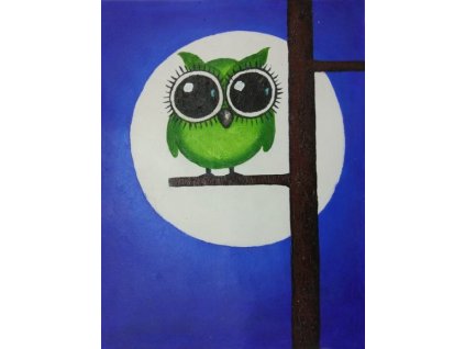 Obraz - Zelená sovička (Rozměr 50 cm x 40 cm)