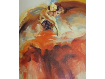 Obraz - Barvy tance (Rozměr 60 cm x 50 cm)