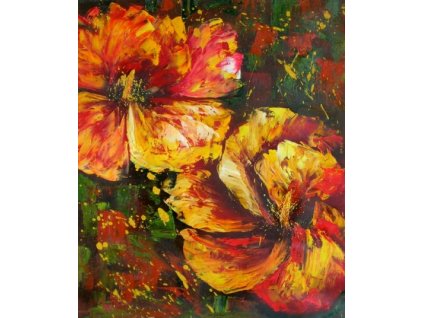 Obraz - Divoké květy (Rozměr 50 cm x 40 cm)