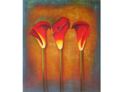 Obraz - Tři zavité květy (Rozměr 50 cm x 40 cm)