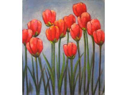 Obraz - Tulipány (Rozměr 50 cm x 40 cm)