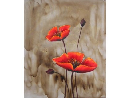 Obraz - Dva vlčí máky (Rozměr 50 cm x 40 cm)