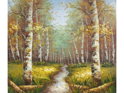 Obraz - Březový les (Rozměr 50 cm x 60 cm)