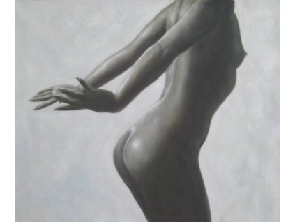 Obraz - Labuť (Rozměr 50 cm x 60 cm)