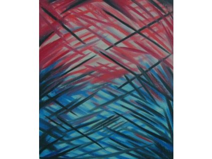 Obraz - Modročervené blouznění (Rozměr 50 cm x 40 cm)