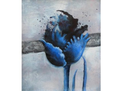 Obraz - Modrá růže (Rozměr 50 cm x 40 cm)