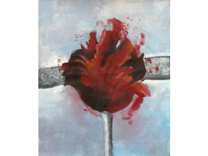 Obraz - Rudý květ (Rozměr 50 cm x 40 cm)