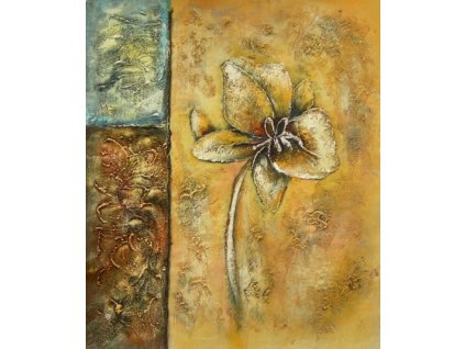 Obraz - Květ (Rozměr 50 cm x 40 cm)