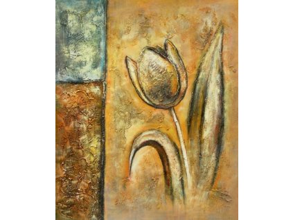 Obraz - Tulipán (Rozměr 50 cm x 40 cm)