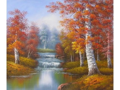 Obraz - Les v podzimu (Rozměr 50 cm x 60 cm)