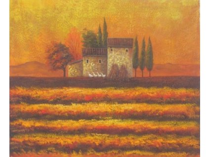 Obraz - Domek v západu slunce (Rozměr 40 cm x 50 cm)