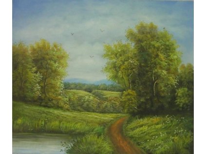 Obraz - Cesta do lesa (Rozměr 50 cm x 60 cm)
