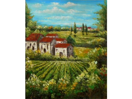 Obraz - Dům ve vinném poli (Rozměr 50 cm x 40 cm)