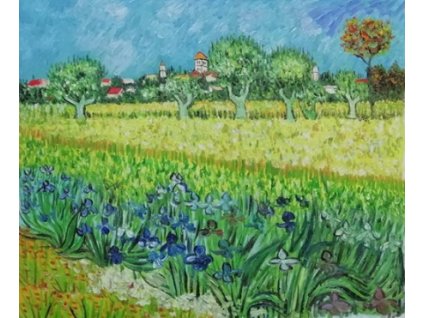 Obraz - Pole a kosatce v Arles (Rozměr 40 cm x 50 cm)