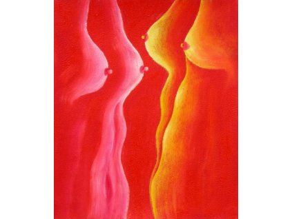 Obraz - Ňadra (Rozměr 50 cm x 40 cm)