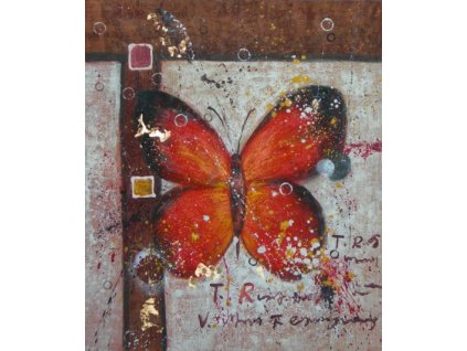 Obraz - Motýl na zdi (Rozměr 50 cm x 40 cm)