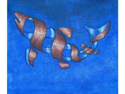 Obraz - Delfín (Rozměr 40 cm x 50 cm)