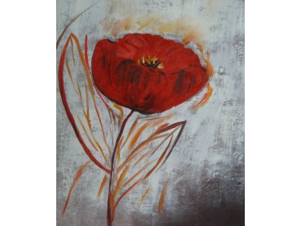 Obraz - Velký vlčí mák (Rozměr 50 cm x 40 cm)