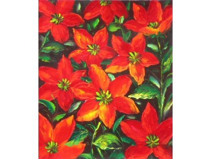 Obraz - Luční červené květy (Rozměr 50 cm x 40 cm)