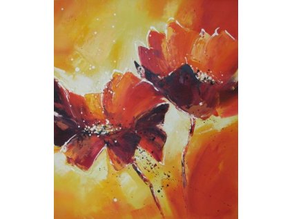 Obraz - Divoké květy (Rozměr 50 cm x 40 cm)