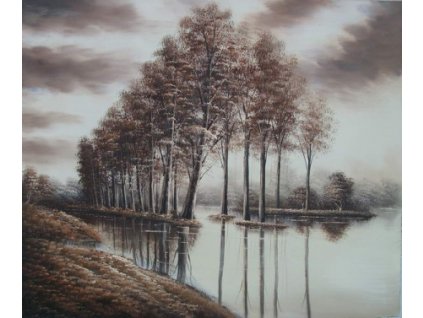 Obraz - Stromy ve vodě (Rozměr 50 cm x 60 cm)
