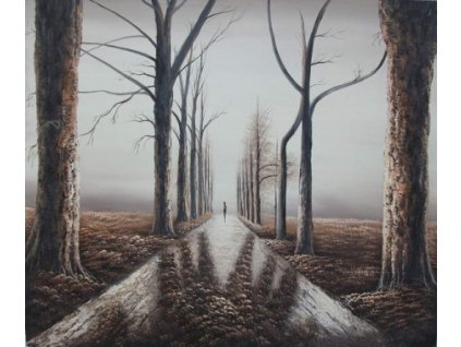Obraz - Cesta do neznáma (Rozměr 50 cm x 60 cm)