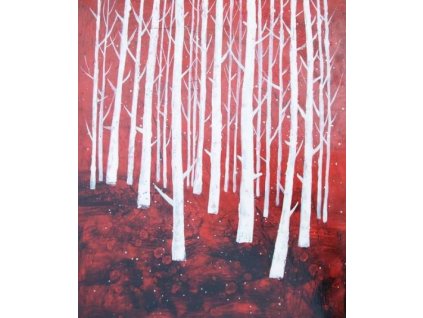 Obraz - Hustý les (Rozměr 50 cm x 40 cm)