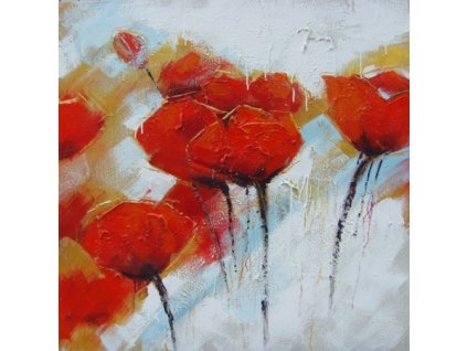 Obraz - Vlčí máky (Rozměr 100 cm x 100 cm)