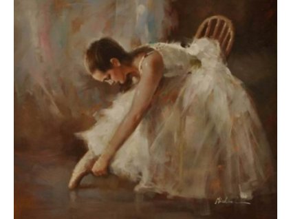 Obraz - Jdu tančit (Rozměr 50 cm x 60 cm)