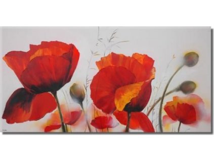 Obraz - Volnost (Rozměr 30 cm x 60 cm)