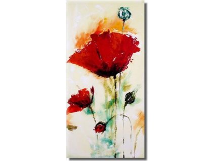 Obraz - Abstraktní květy (Rozměr 60 cm x 30 cm)