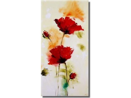 Obraz - Abstraktní květy II (Rozměr 60 cm x 30 cm)