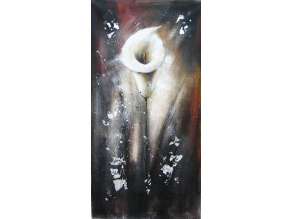 Obraz - Květ v mlze (Rozměr 60 cm x 120 cm)
