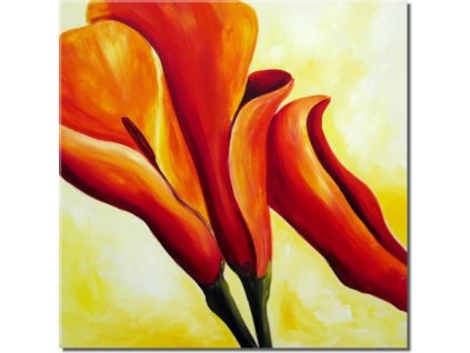 Obraz - Tři červené kaly (Rozměr 40 cm x 40 cm)