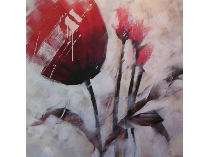 Obraz - Tulipán v mlze (Rozměr 100 cm x 100 cm)