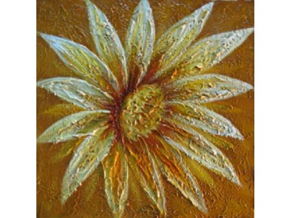 Obraz - Žlutý květ (Rozměr 100 cm x 100 cm)