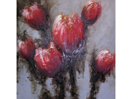 Obraz - Červené tulipány (Rozměr 100 cm x 100 cm)