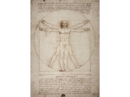 Leonardo da Vinci (Rozměr 50 cm x 35 cm)