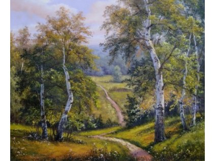 Obraz - Večerní břízy (Rozměr 50 cm x 60 cm)