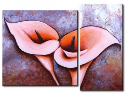Obrazový set - Dvě kaly (Rozměr 70 cm x 70 cm)