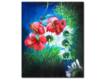 Obraz - Pohled vzhůru (Rozměr 50 cm x 40 cm)