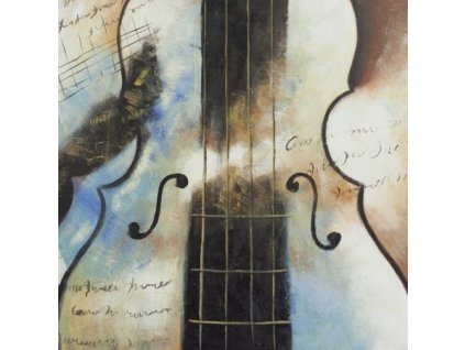 NPN3013 obraz housle