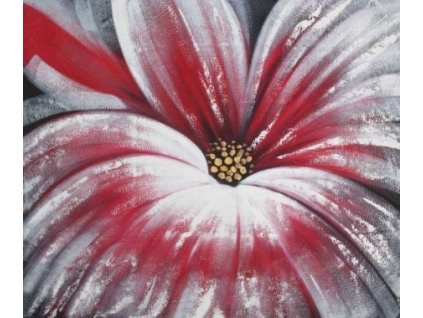 N3975 obraz krasny kvet