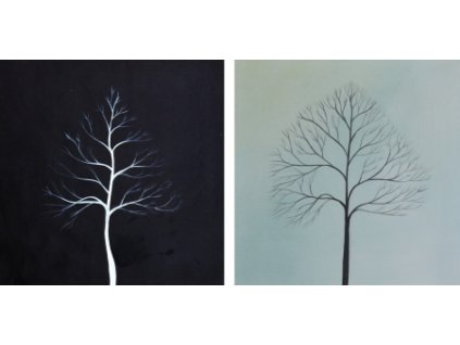 NSET2 381 obrazy negace