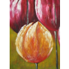 Obraz - Čtyři tulipány