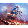 Obraz - Motokrosař (Rozměr 40 cm x 50 cm)