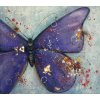 Obraz - Křídla motýlí (Rozměr 40 cm x 50 cm)