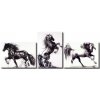 Obrazový set - Divocí koně (Rozměr 40 x 60cm)