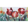 Obraz - Tulipány v trávě (Rozměr 30 cm x 60 cm)