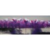 Obraz - Moderní fialové květy (Rozměr 50 x 150 cm)